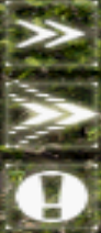 4.png